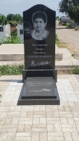 CMEN0719